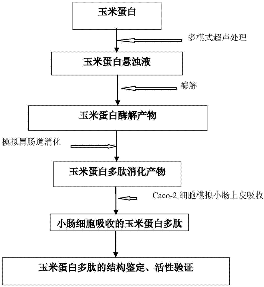 北京电动车火灾高发 朝阳区90余家物流企业被约谈【乐鱼体育】(图1) 乐鱼体育