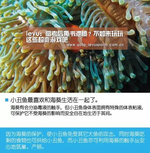 leyu:高考后撕书泄愤?不如来玩玩这些超爽游戏吧(图1) 乐鱼