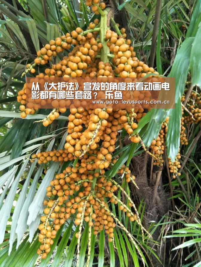 乐鱼