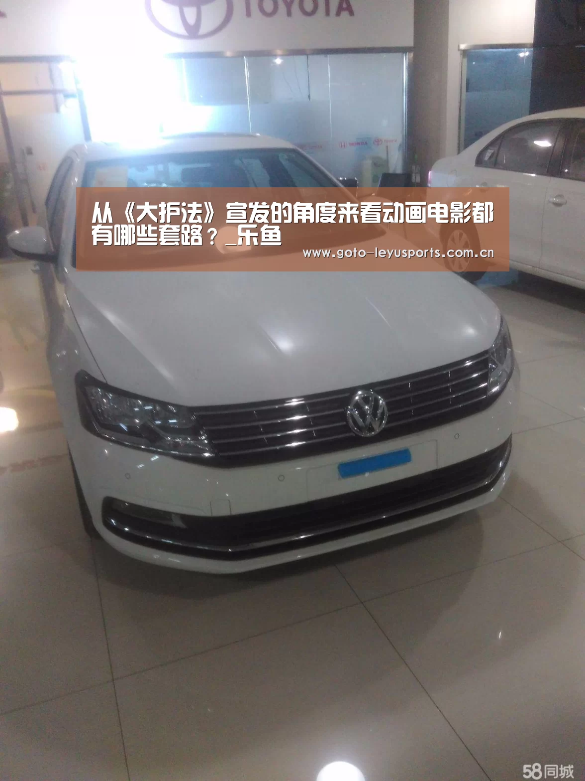乐鱼