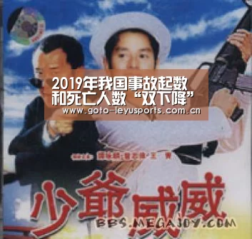 2019年我国事故起数和死亡人数“双下降”【leyu】(图2) 乐鱼